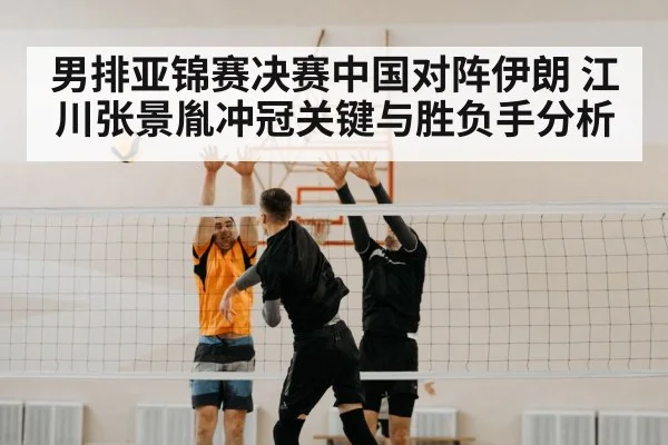 volleyball net block